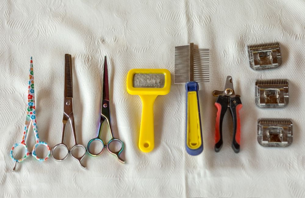 Right Grooming Tools